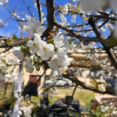 W Il Silenzio! 3* Gualdo (Tuscany)